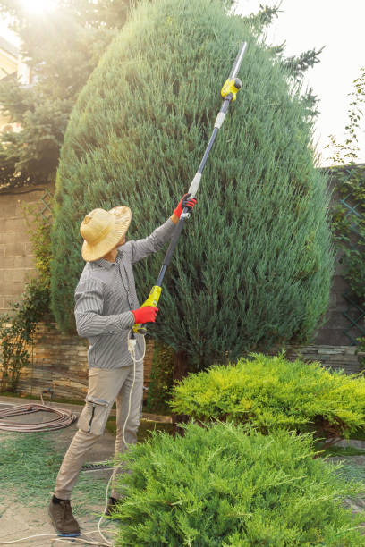 Lawn Watering Services in Colby, WI